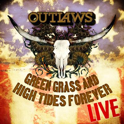 Green Grass & High Tides (Live) By The Outlaws's cover