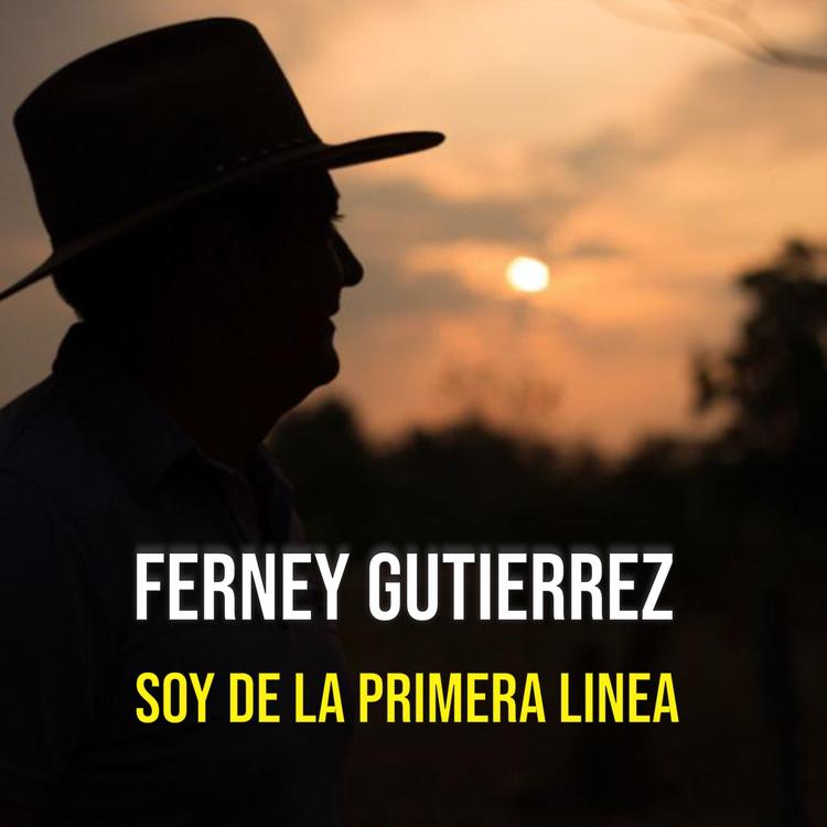 Ferney Gutierrez's avatar image