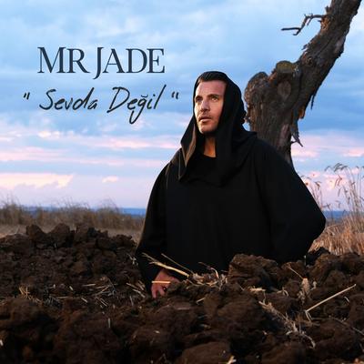 Mr Jade's cover