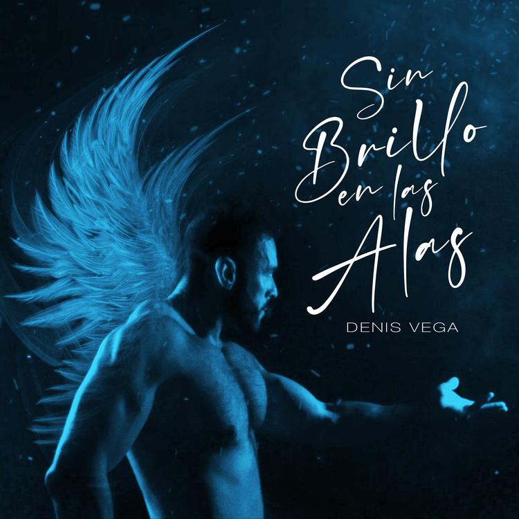 Denis Vega's avatar image