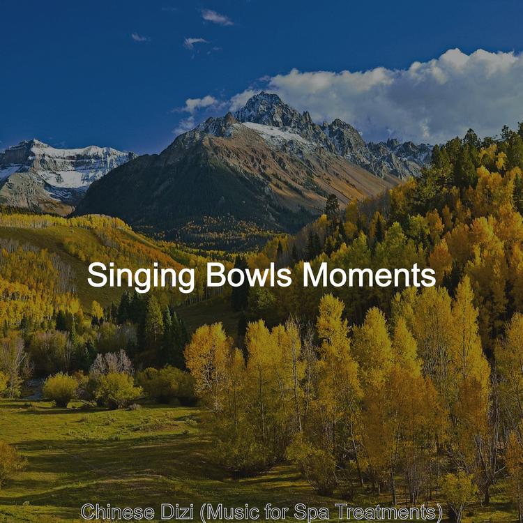 Singing Bowls Moments's avatar image