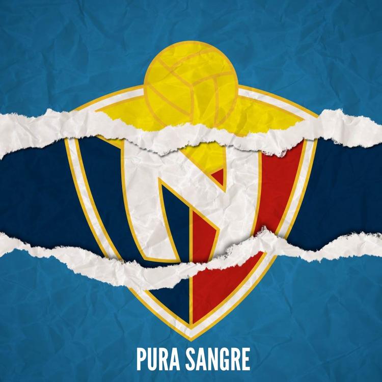 Club Deportivo el Nacional's avatar image