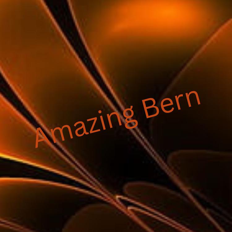 Amazing Bern's avatar image