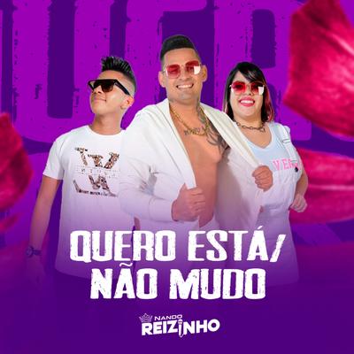 Playlist By Nando Reizinho's cover