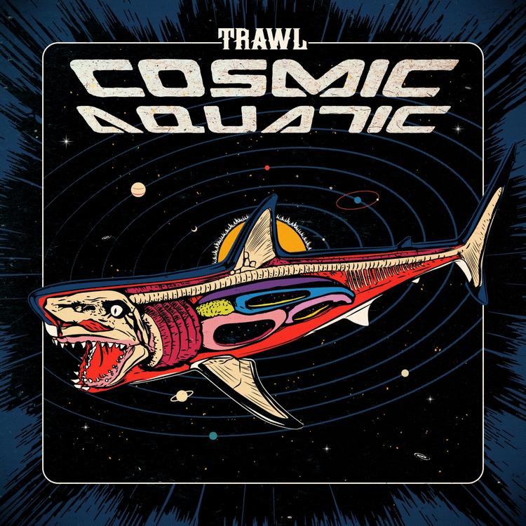 Trawl's avatar image