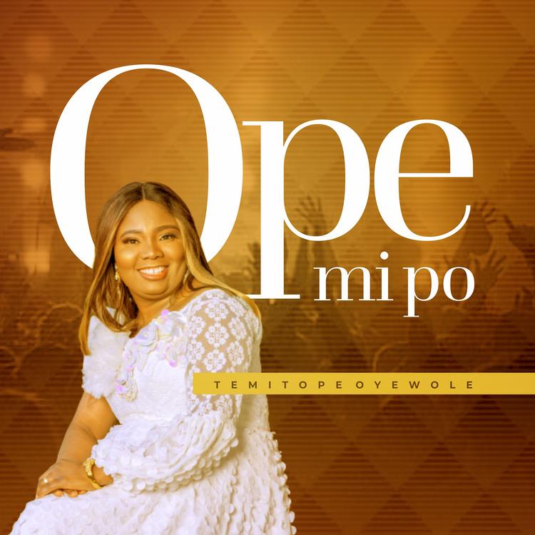 Temitope Oyewole's avatar image