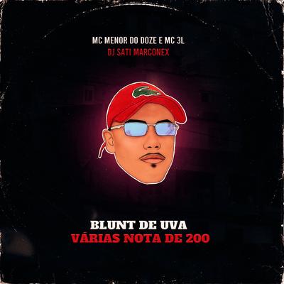 Blunt de Uva - Várias Nota de 200 By MC MENOR DO DOZE, MC 3L, Dj Sati Marconex's cover