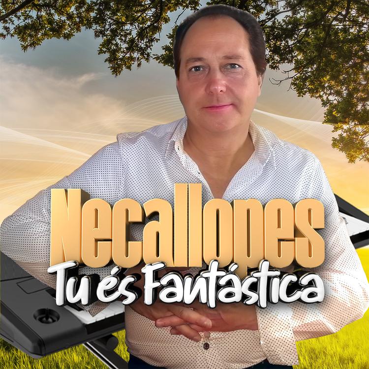 Necallopes's avatar image