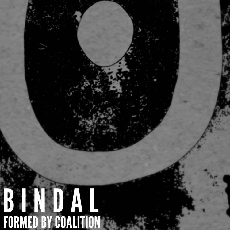 Bindal's avatar image