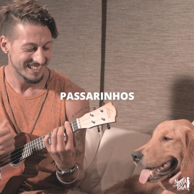 Passarinhos By Nossa Toca, Allan Furtado, Fábio Augusto, Giba Moojen, Pedro Schin, Leash's cover