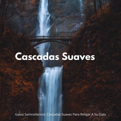 Gatos Somnolientos: Cascadas Suaves Para Relajar A Su Gato's cover