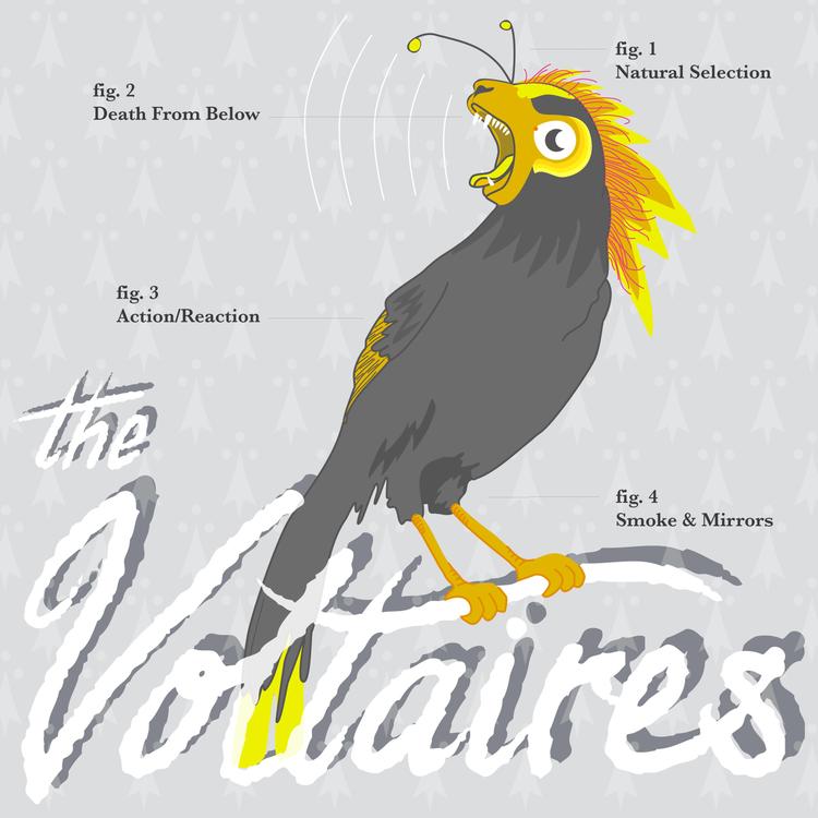 The Voltaires's avatar image