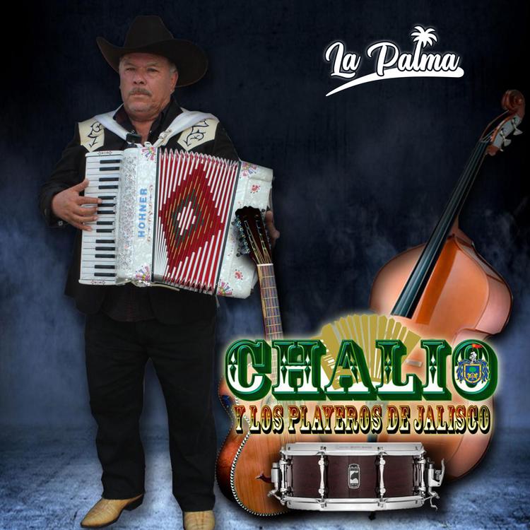 Chalio y los Playeros de Jalisco's avatar image