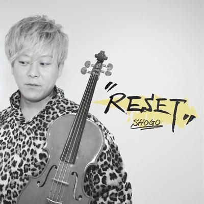 RESET's cover