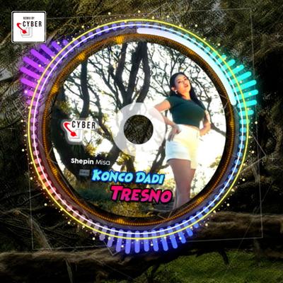 Konco Dadi Tresno (Remix)'s cover