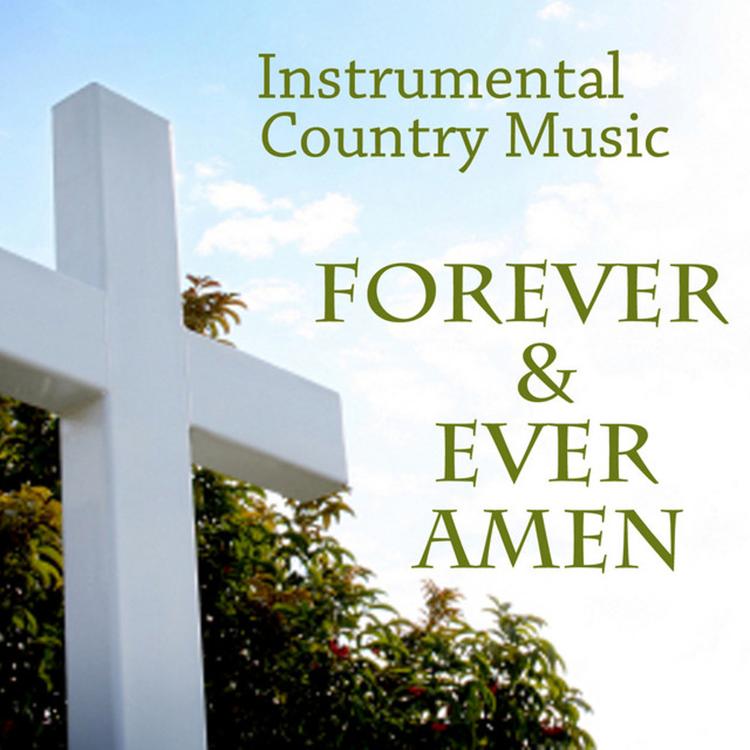Instrumental Country Music's avatar image