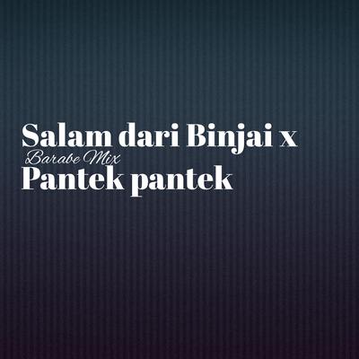 Salam dari Binjai x Pantek pantek (Remix)'s cover