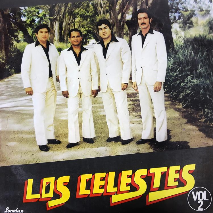 Los Celestes's avatar image