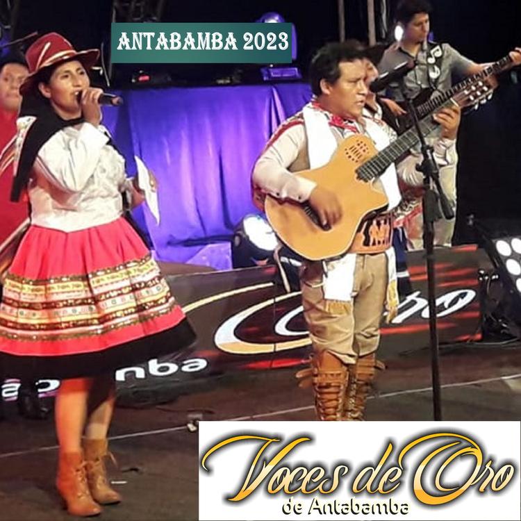 Voces de Oro de Antabamba's avatar image