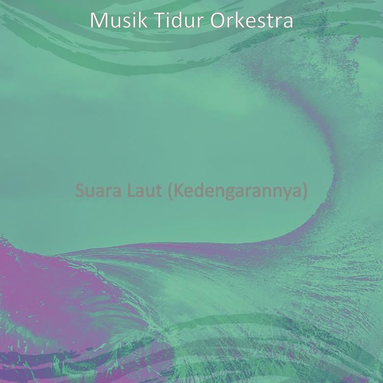 Musik Tidur Orkestra's avatar image