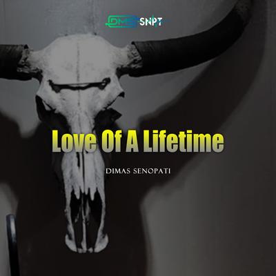 Love Of A Lifetime (Acoustic) By Dimas Senopati, DMSSNPT Studios's cover