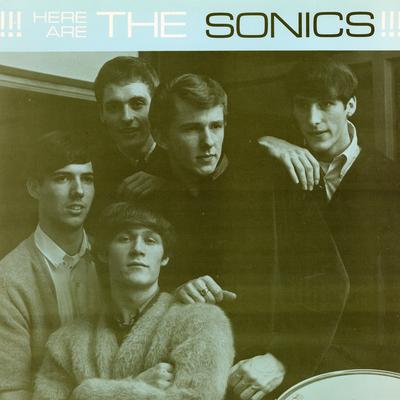 Have Love Will Travel By The Sonics's cover