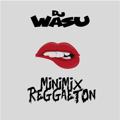 Minimix Reggaeton's cover