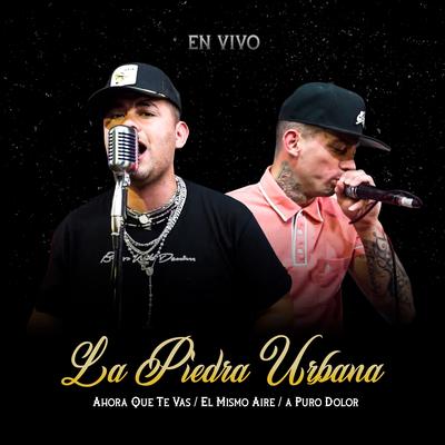 Ahora Que Te Vas / El Mismo Aire / a Puro Dolor (En Vivo)'s cover