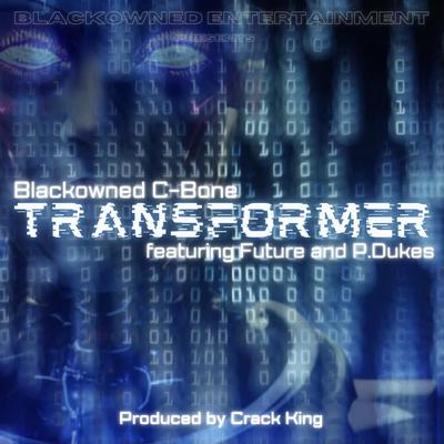 Transformer's cover