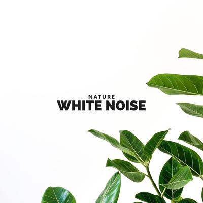 Nature White Noise's cover