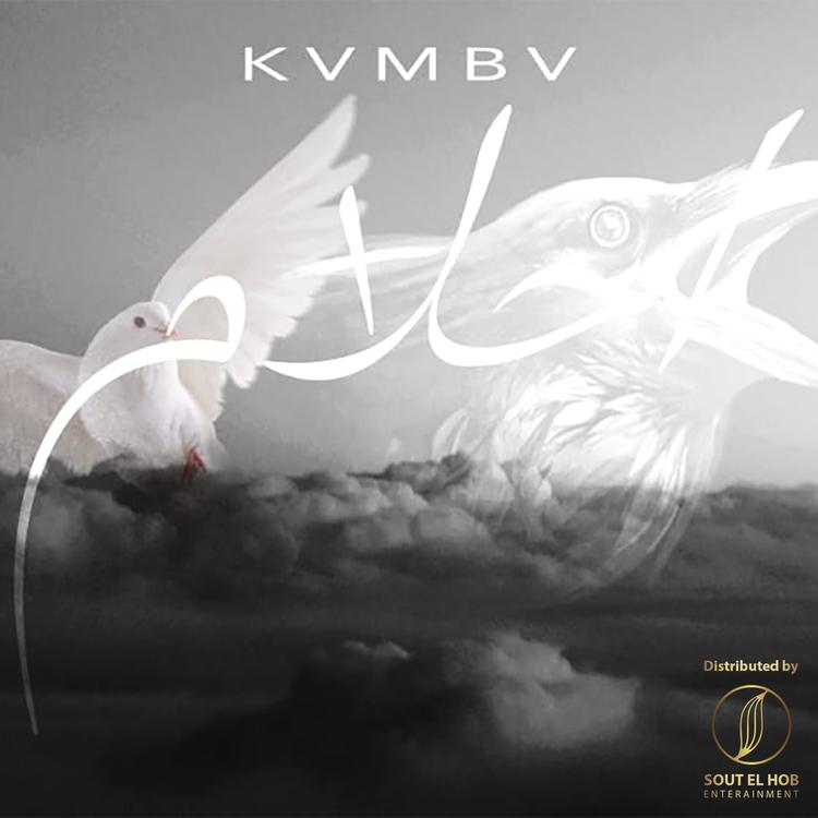 KVMBV's avatar image