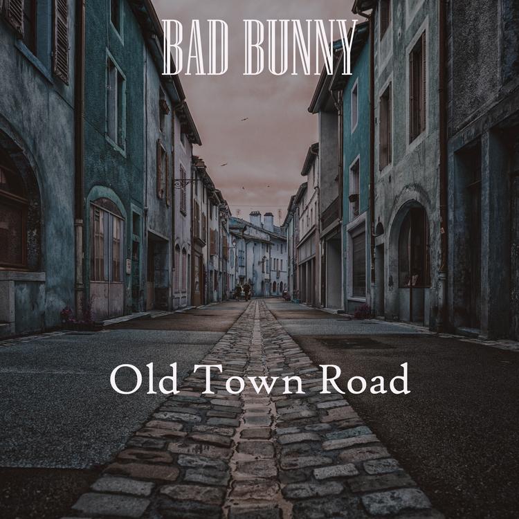 Old Town Road's avatar image