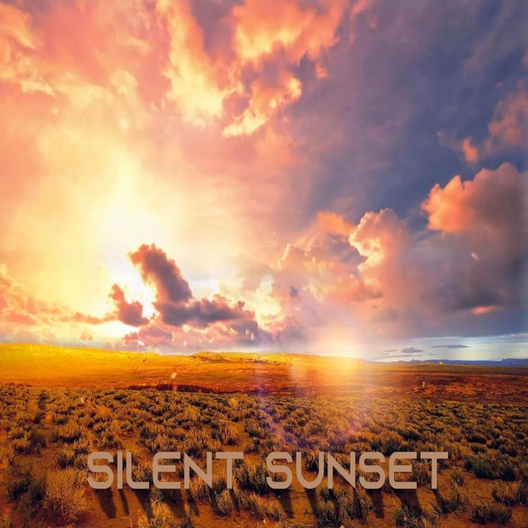 Silent Sunset's avatar image