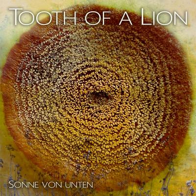 Kaun Kaun Kaun By Tooth Of A Lion's cover
