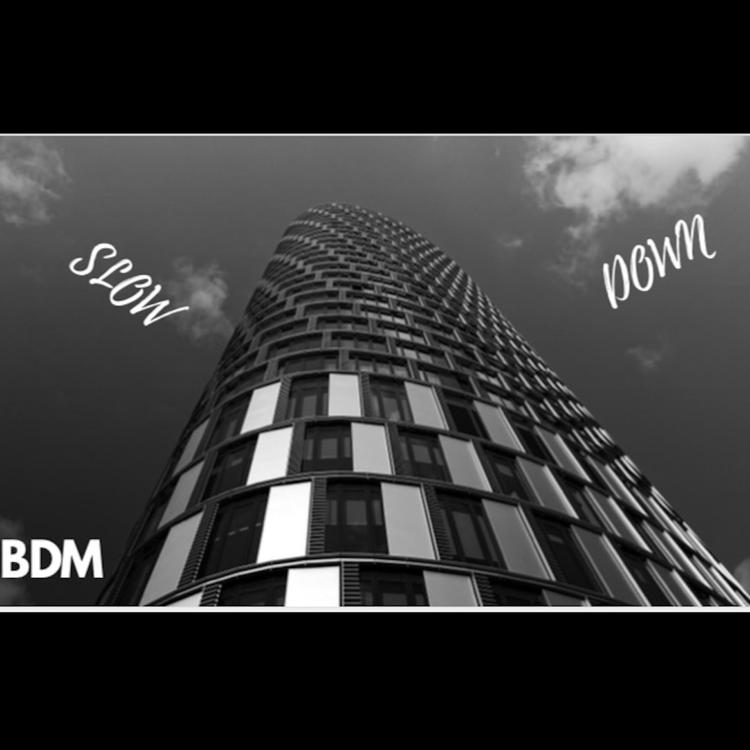 BDM's avatar image