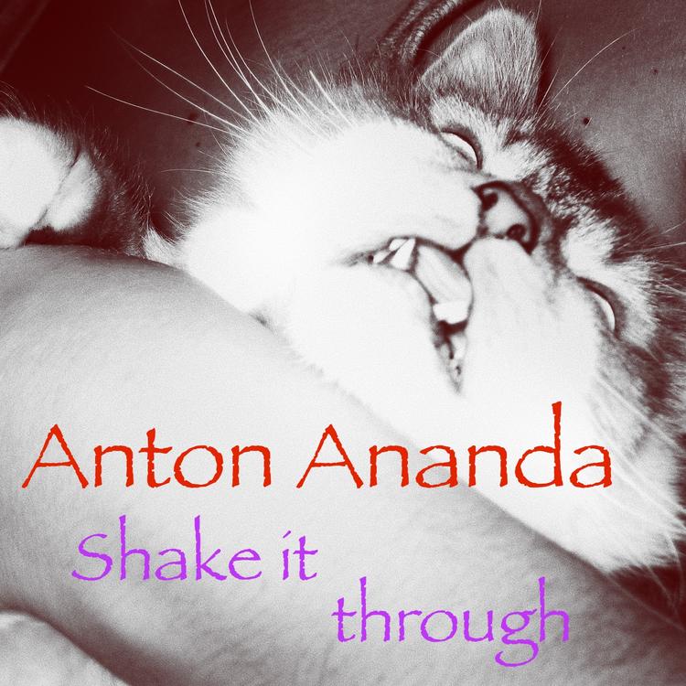 Anton Ananda's avatar image