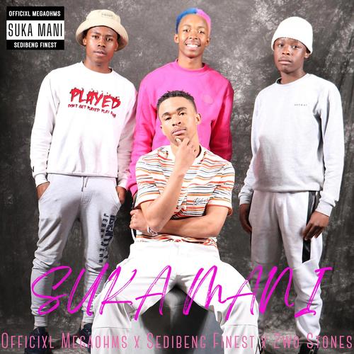 Suka Mani (feat. Sedibeng Finest,2Wo Stones & Hidden Bunnies