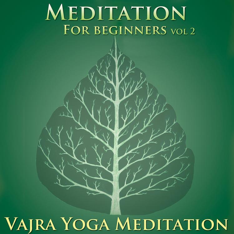 Vajra Yoga Meditation's avatar image