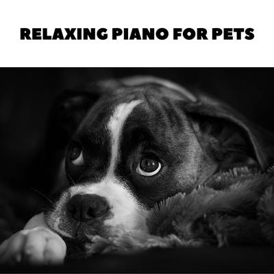 relaxed dog music's cover