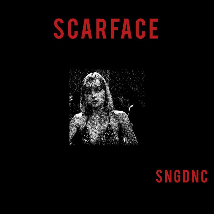 Sngdnc's avatar image