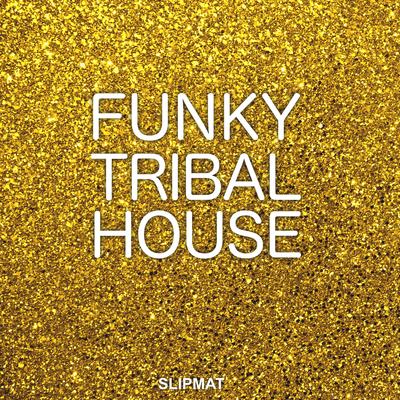 Funky House (Corline House Work - Radio Edit)'s cover