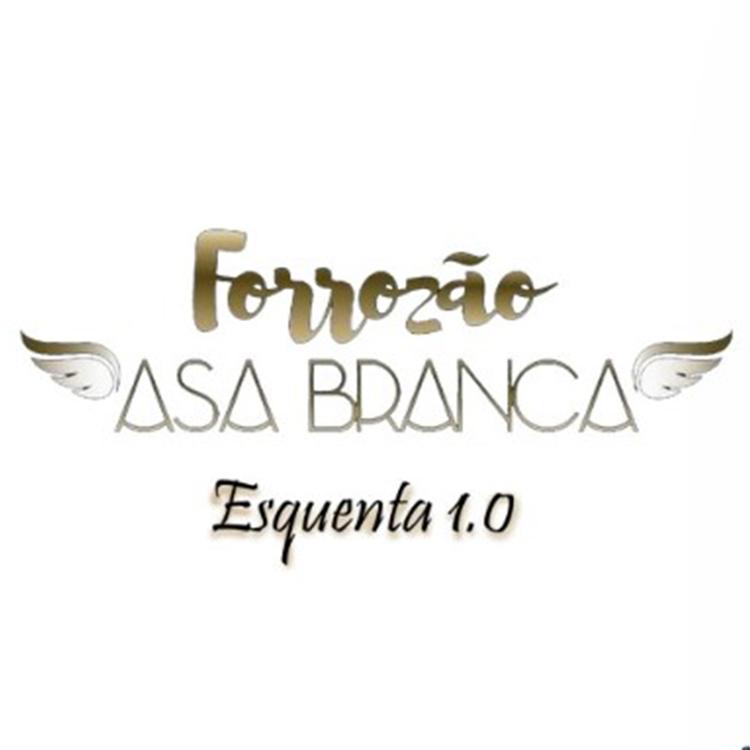 Forrozao Asa Branca's avatar image