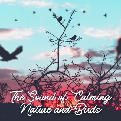 The Sound of Calming Nature and Birds's cover