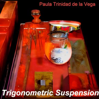 Trigonometric Suspension's cover