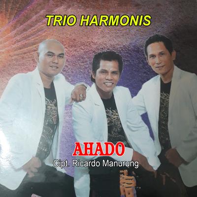 AHADO's cover