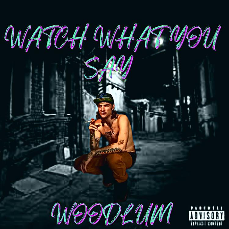 The WooDLuM's avatar image