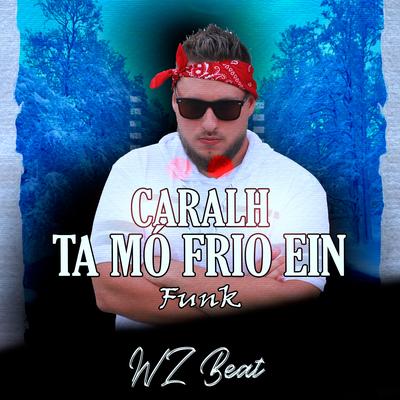 Caralh Ta Mó Frio Ein Funk By WZ Beat's cover