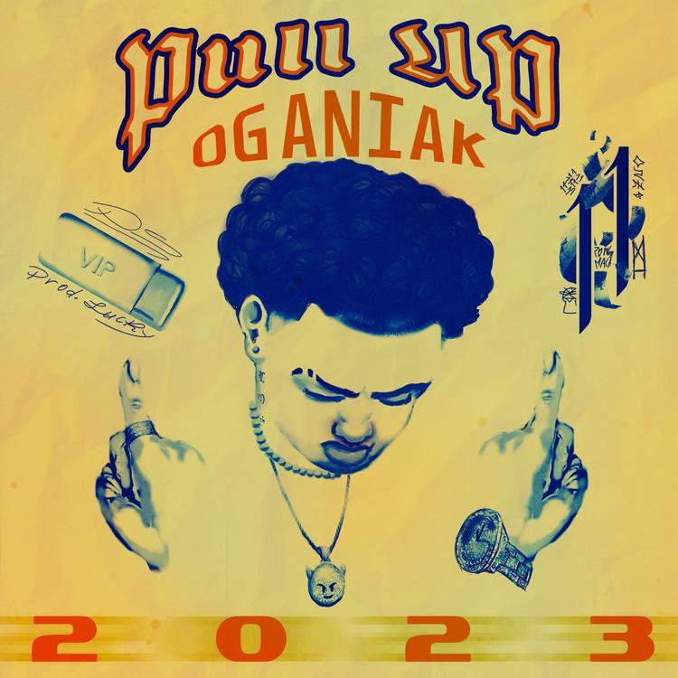 OgAniak11's avatar image