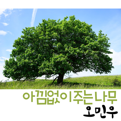 봄비's cover