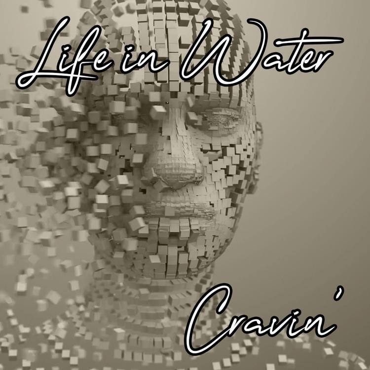 Life in Water's avatar image